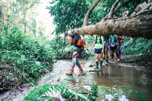 BIB: 
                            <button type="button" onclick="openModal(25464272)" class="btn btn-primary btn-sm float-right btn-popup" data-toggle="modal" data-target=".modal-high-quality">
                        <i class="fas fa-shopping-cart"></i> Add to Cart
                    </button>
                                            <button type="button" onclick="isThisMe(25464272, true)" class="btn btn-success btn-sm float-right btn-popup btn-isme hidden" data-toggle="tooltip" data-placement="bottom" title="นี่คือรูปของคุณใช่ไหม คลิกที่นี่เพื่อเอาเข้าอัลบั้ม">
                        <i class="fas fa-plus"></i> Add to album
                    </button>
                    <button type="button" onclick="isThisMe(25464272, false)" class="btn btn-warning btn-sm float-right btn-popup btn-isnotme hidden">
                        <i class="fas fa-ban"></i> Remove from album
                    </button>